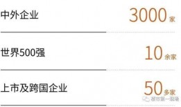 惠州爆料最新新闻消息,聚焦城市热点事件，揭秘背后真相